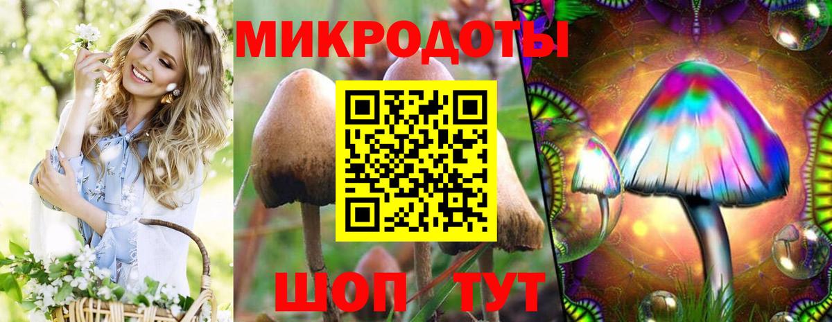 Псилоцибиновые грибы Magic Shrooms Орёл